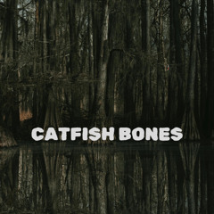 Catfish Bones