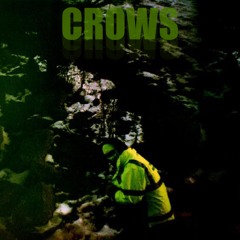 Crows (feat. Zil)