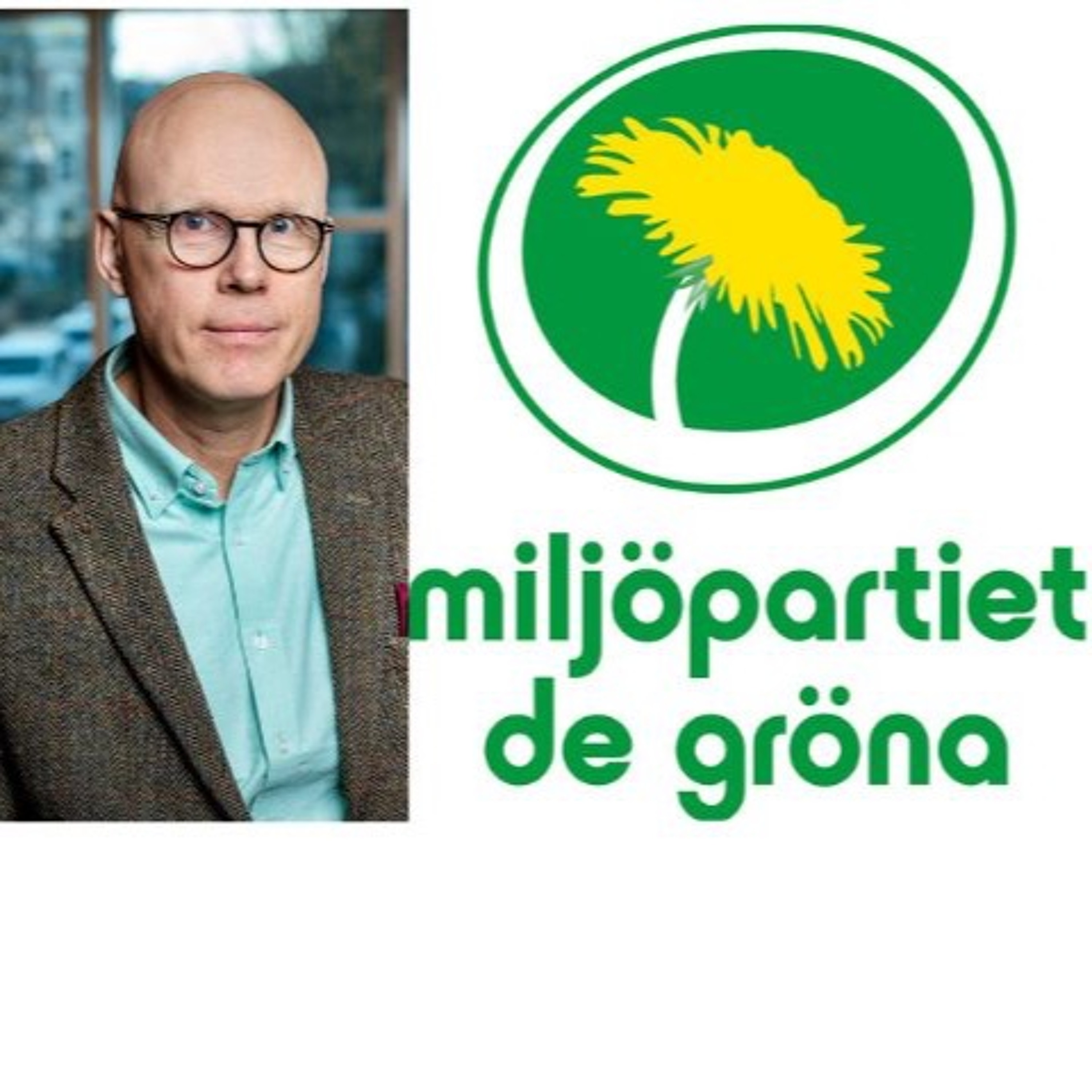 "Inte ovanligt att det är rörigt vid språkrörsval" thumbnail