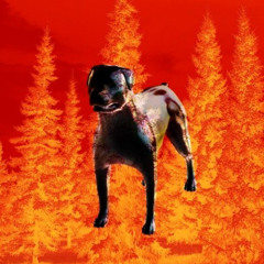 18_Rottweiler_Miniature_BaumBaum.wav