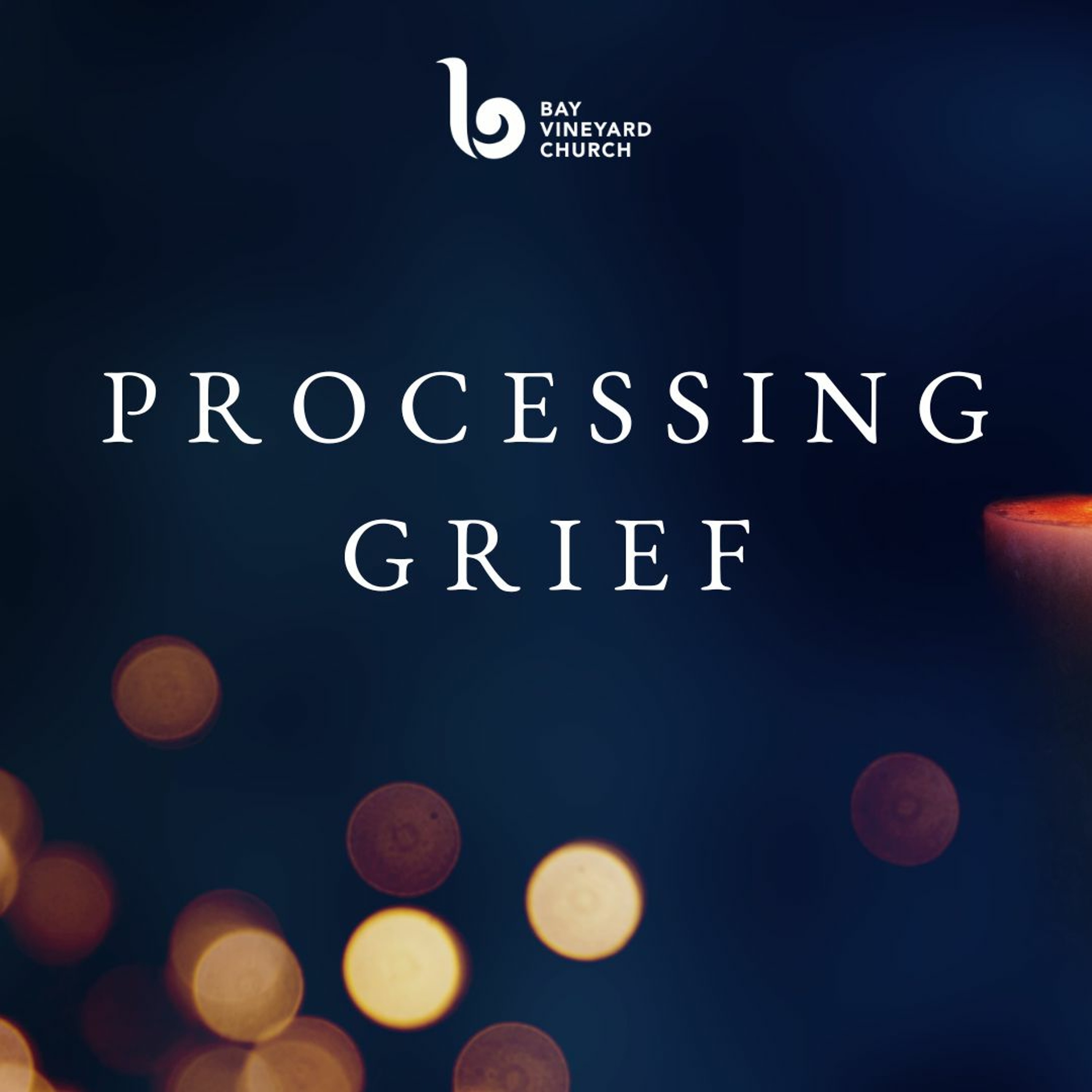Sunday November 12th // Processing Grief episode artwork