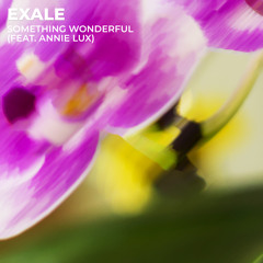 Exale - Something Wonderful (feat. Annie Lux)