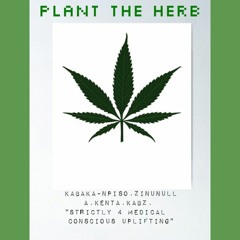 PLANT THE HERB.mp3