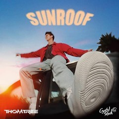 Nicky Youre - Sunroof (feat. Dazy)(Crystal Rock & ThomTree Remix Edit)