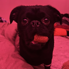 REC_202225 _Christmas Set_#happytechno [û15]