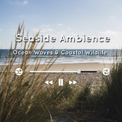 Seaside Ambience with Ocean Waves & Coastal Wildlife – 10-Minute Loop (preview)
