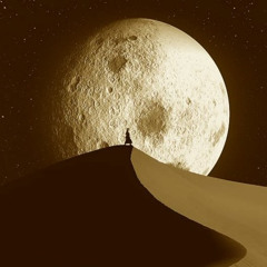 Night Desert