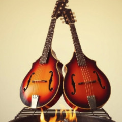 Barbequed Mandolins
