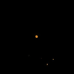 Trees are falling, asleep