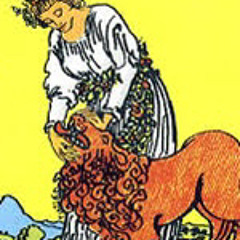 I Don't Bet On Hope Anymore