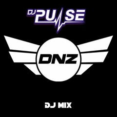 DJ Pulse Dnz Records Mix