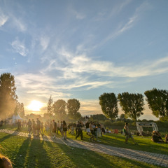 vinido