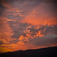 Wonderful Tonight (Eric Clapton)
