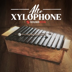 Franklly Thallyson - Shining Sun - Soundiron Alto Xylophone