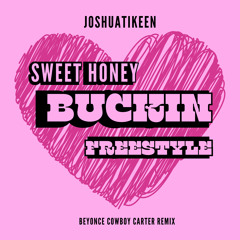 Beyonce Sweet Honey Buckin Freestyle (prod.shipokaé)