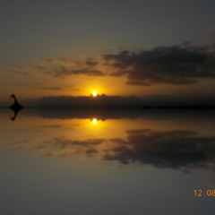 Playgroup - Front To Back (Remix) FOR PROMOTIONAL USE ONLY NOT FOR RESALE