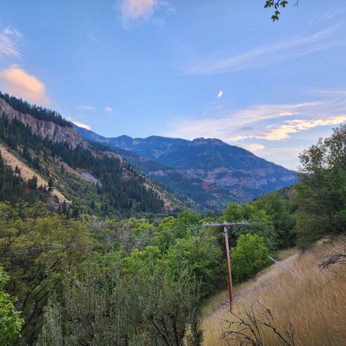 A cover of Freaks by Surf Curse.mp3 Forest Slater