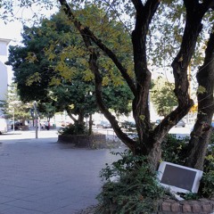 Z12(V)/073 Vodor L Zeck - ''Wedding Acid''