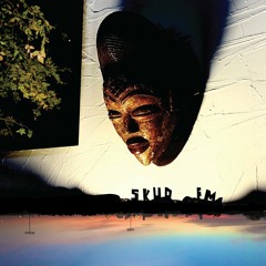SKUD FM 8 - go get it