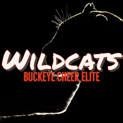 Buckeye Cheer Elite Wildcats 2021-22 - Junior 3 (Cyclone Package)