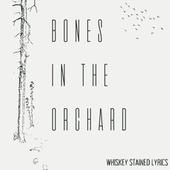 Bones in the Orchard