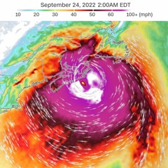 Wind, rain, hurricane