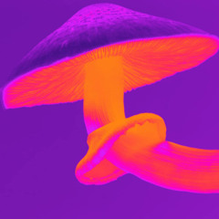 Psy Ballades and progressive vinyl by Emir E. Mardan