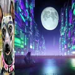 Shoot for the moon : don't mind the sky