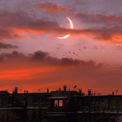 ZORKING Elle Me Dit Remix (Efkan ft N'again )