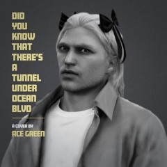 Did You Know That Theres A Tunnel Under Ocean Blvd (Cover)