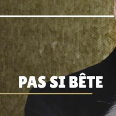 Pas si bête - juin 2022 - Radio Val d' Or