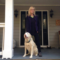 Nobody Cares (Live Track)