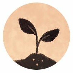 Raíces - Main Theme