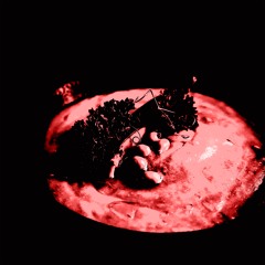 GZO (Prod. Bassfngrz)