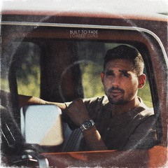 Built To Fade - Loaded Guns