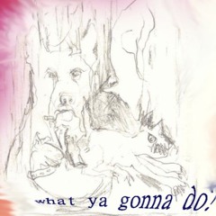 What Ya Gonna Do?