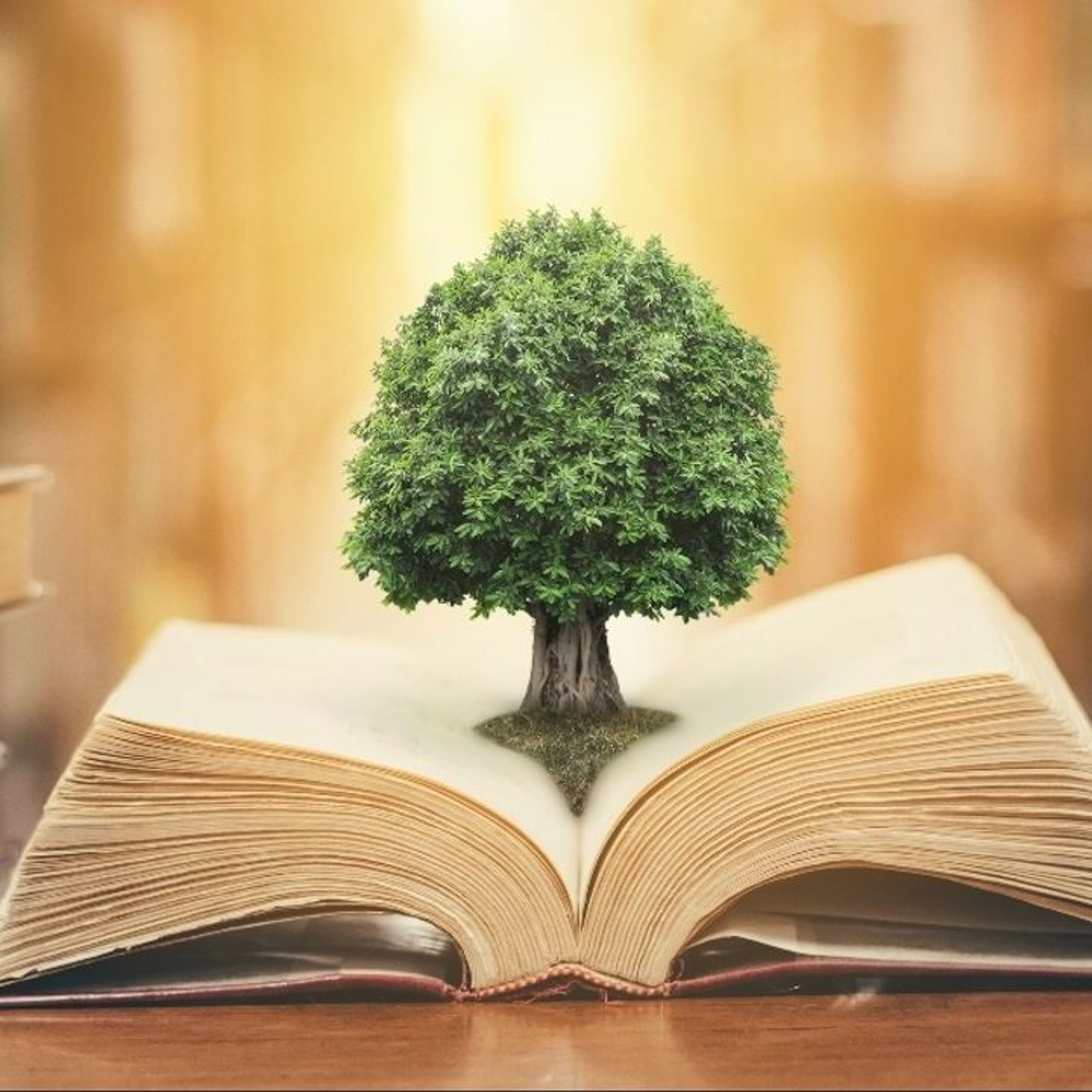 Language of Deception, PT 1- "KNOWLEDGE ACCORDING TO TRUTH"