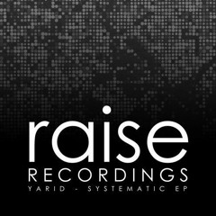 YariD - Retrospective (Original Mix)[Raise Recordings]