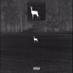 AIM ASSIST! * (prod. Alliance White)