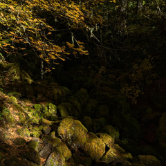 one good moment - composed by shalfi