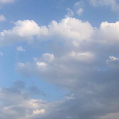 nytm nyplc (after Janet Jackson)