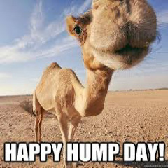 hump day x puff.gzz
