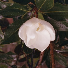 11.13.21 Freestyle Bang out House music set