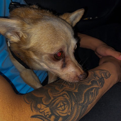 CA$TRO X PLUTO - LOOSY(PROD. @wyapluto)