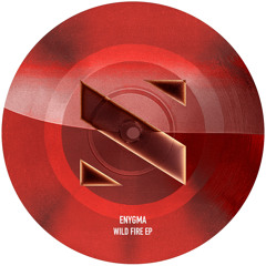 PremEar: Enyygma - Time Lapse