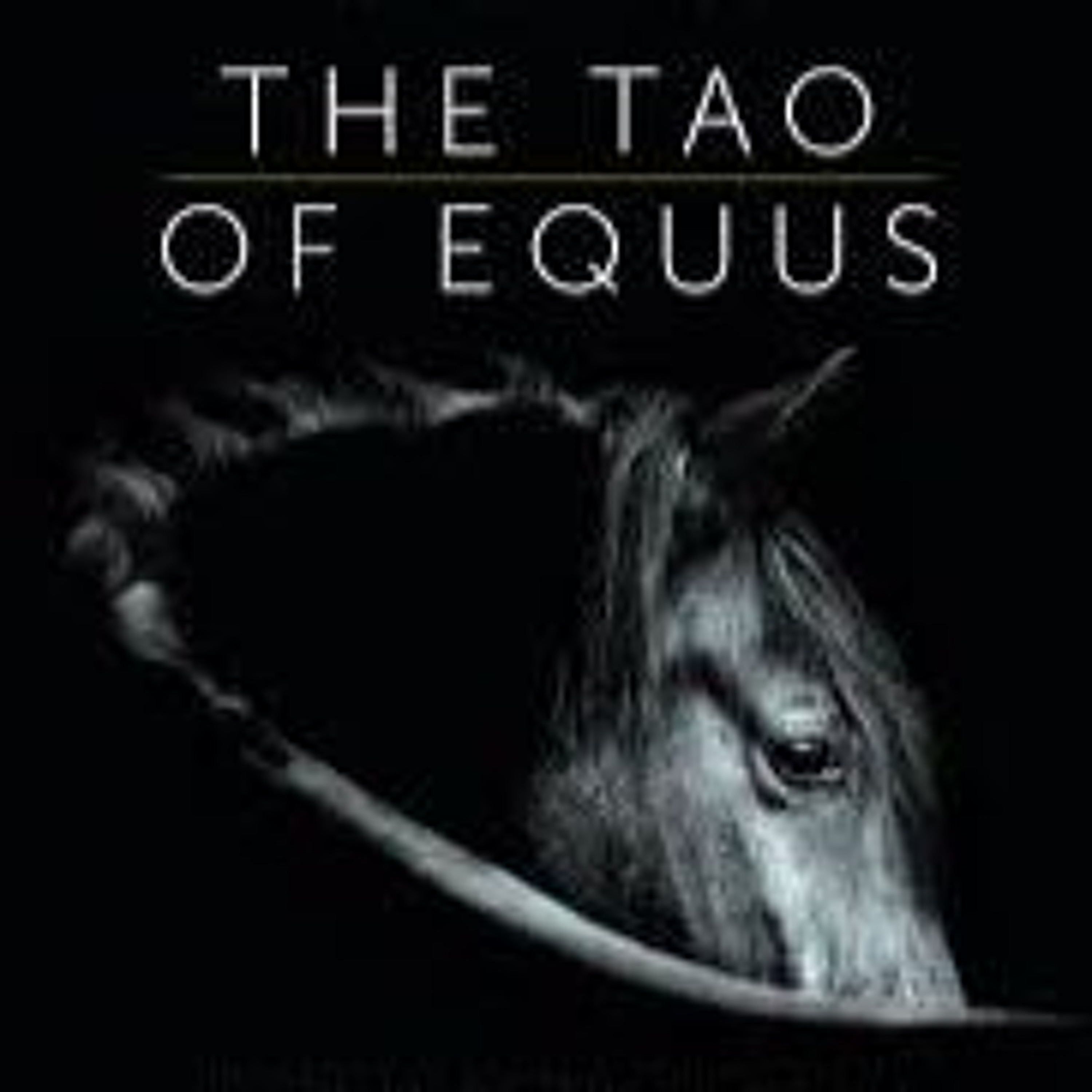 The Magical Mystery Tour Aug 23 2024 The Tao Of Equus With Linda Kohanov episode artwork