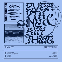 twofish - Everything & Anything RTM Mix