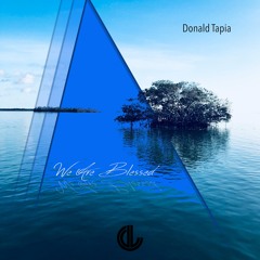 Donald Tapia - We Are Blessed (Synth Mix)