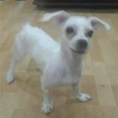 keslrok - umri sa tim (sludge cover)