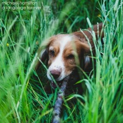 Michael Hamilton - Fingers Crossed (Ross Cairns Remix)